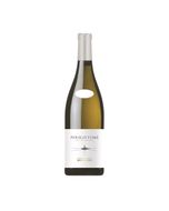 AOP Pouilly-Fum&eacute; Blanc Clement Et Florian Berthier   Bio 2024