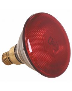 Ampoule Seule Rouge 175 W - Pujadas - Cristal