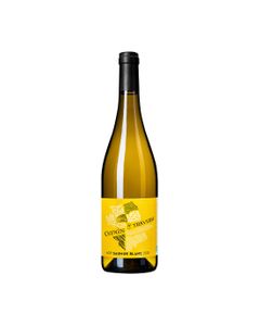 AOP Saumur Sec Blanc Domaine Rocheville Chenin De Traverse Bio 2023