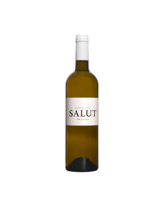 AOP Graves Sec Blanc Domaine du Salut   Bio 2024
