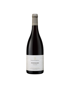 AOP Pommard Rouge Domaine Berthelemot Noizons Bio 2022