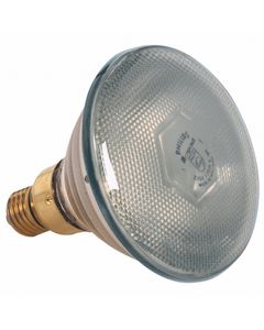 Ampoule Seule Blanche 250 W - Pujadas
