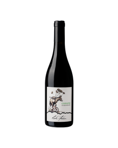 IGP Méditerranée Rouge Domaine Roche Audran Copains Bio 2025