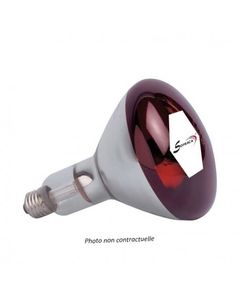 Ampoule rouge pour lampes chauffantes - Sofraca