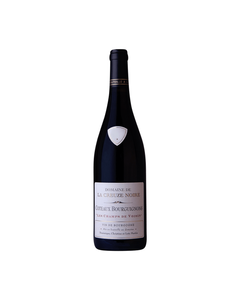 AOP Coteaux Bourguignons Rouge Domaine de la Creuze Noire Les champs de Voisins 2022