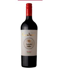 Argentine TUPUNGATA MENDOZA Rouge Domaine Bousquet Cameleon Malbec Bio