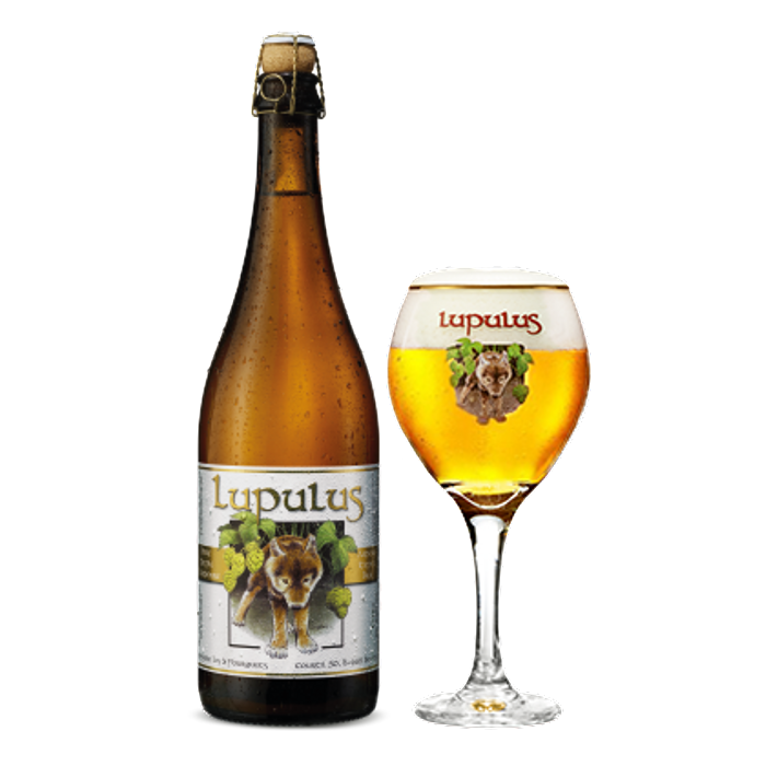 Bière Strong Ale Lupulus   Blonde 8.5°
