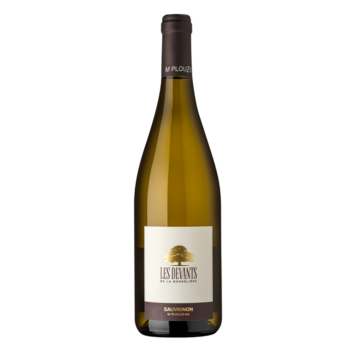 IGP Val de Loire Blanc Château la Bonneliere Les Devants De La Bonneliere Bio 2024
