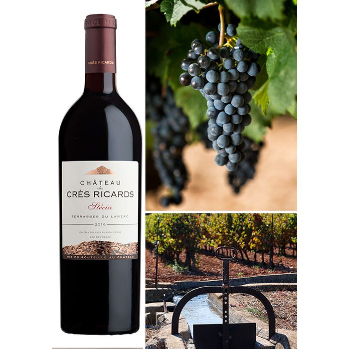 AOP Terrasses du Larzac Rouge Château Crès Ricard Stecia 2019