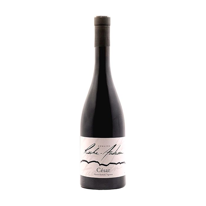 AOP Côtes du Rhône Villages Rouge Domaine Roche Audran Cesar Bio 2020